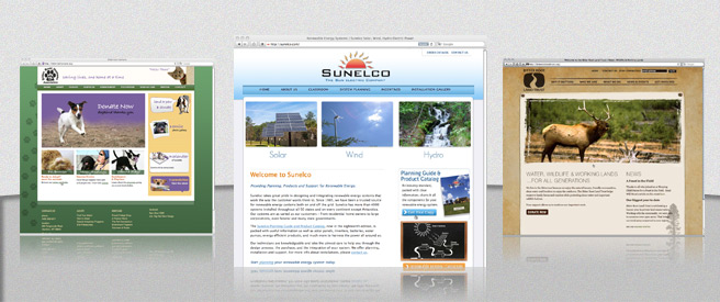 website design examples